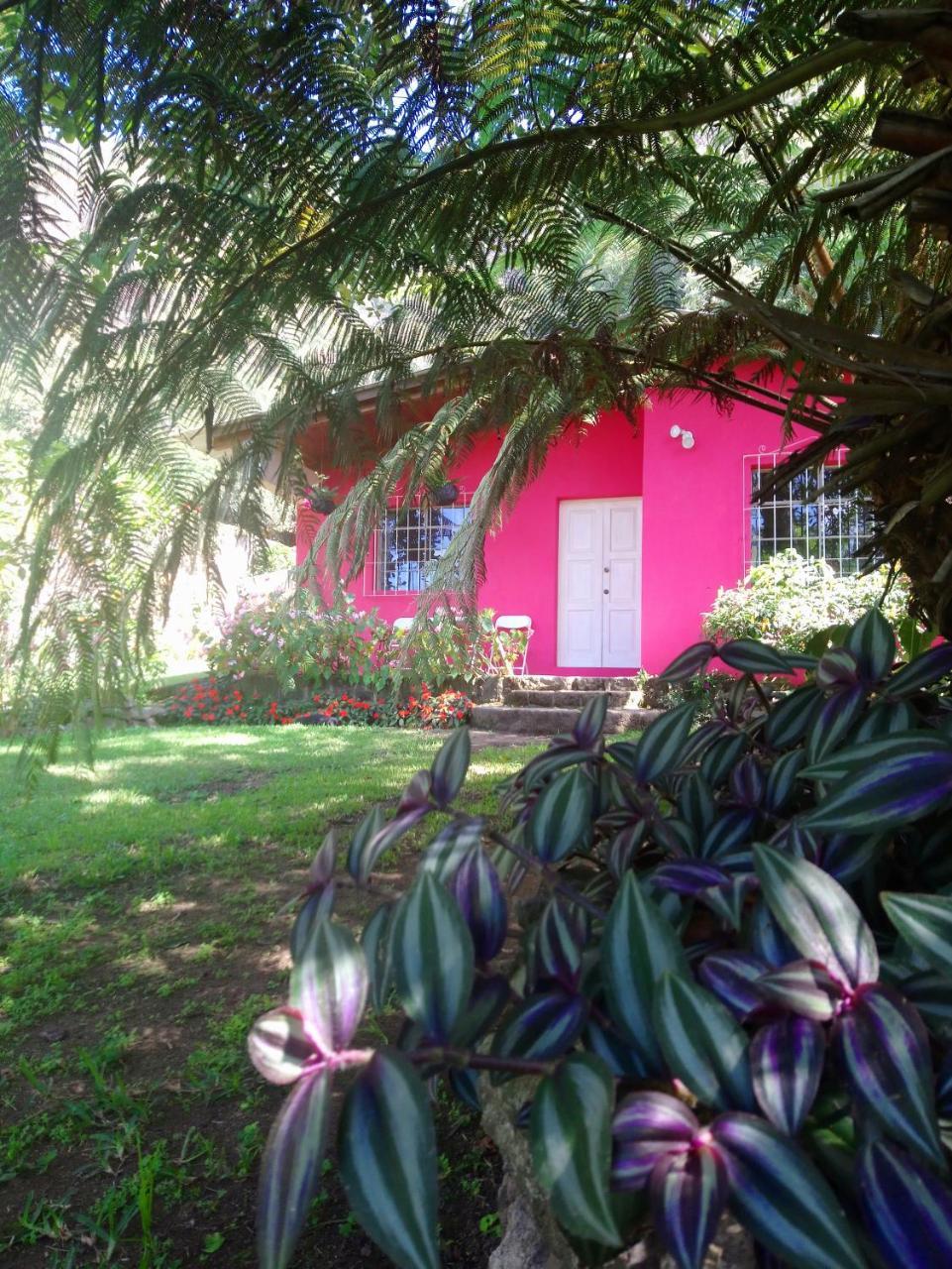 Pink House Hostel San Lucas Tolimán Buitenkant foto